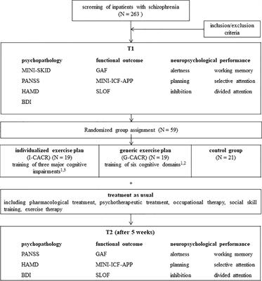 Computer-Assisted Cognitive Remediation in Schizophrenia: Efficacy of an Individualized vs. Generic Exercise Plan